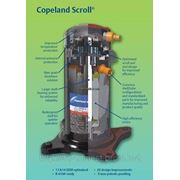 dwm copeland compressor manual pdf